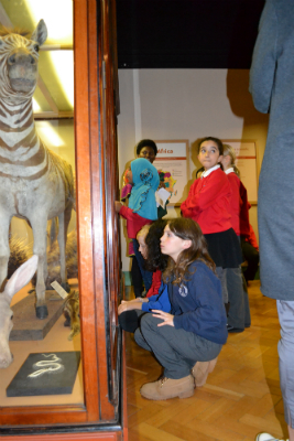 Kids in museums kids looking at zebra