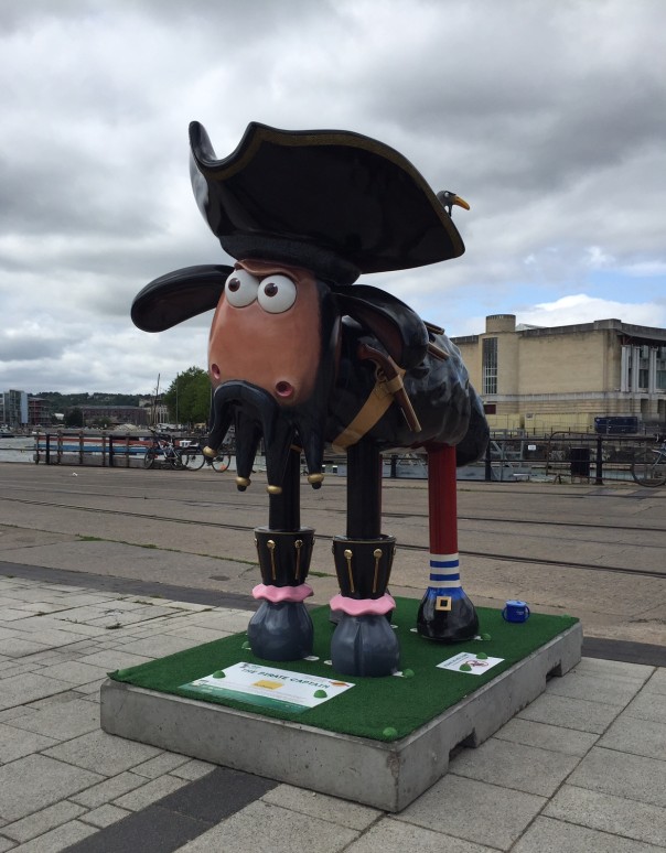 pirate_shaun